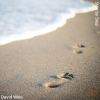 step by step cover 100